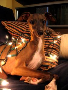 ho, ho, ho; or some shit...