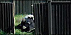 lethargic lethargic